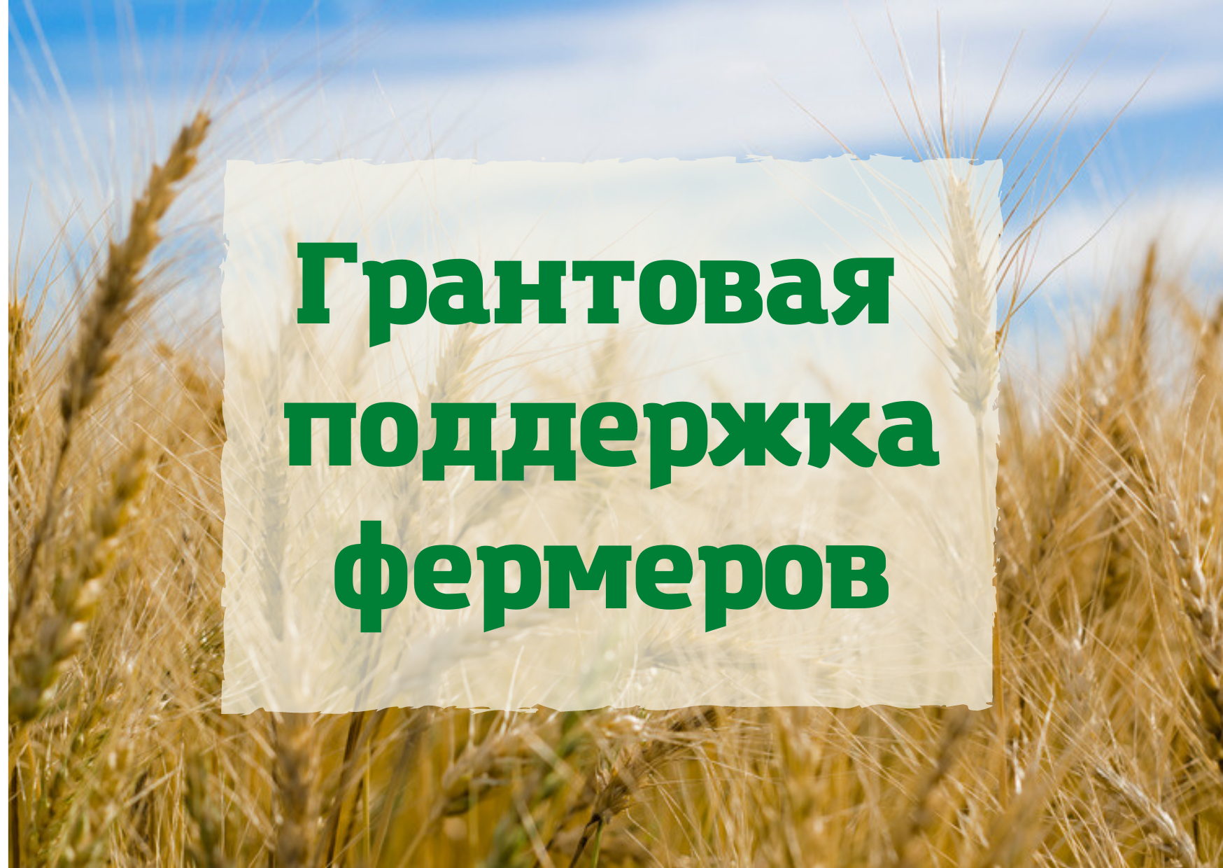 Грантовая поддержка сельскохозяйственных товаропроизводителей в 2025 году.