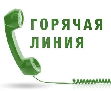 Филиал ППК «Роскадастр» по Новгородской области информирует о проведении горячей линии 26 июня 2025 года.
