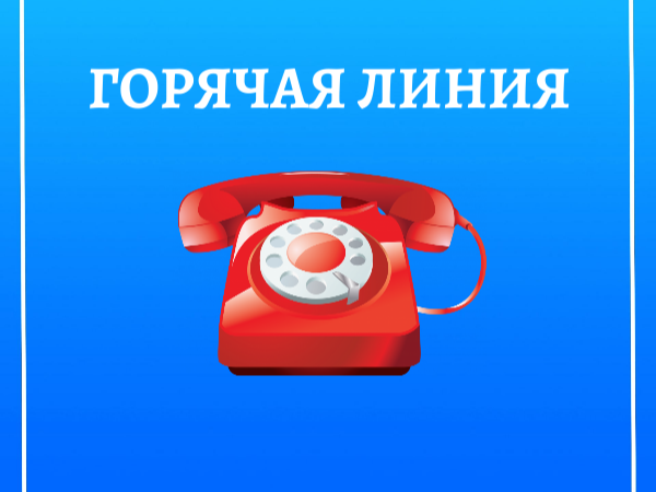 Филиал ППК «Роскадастр» по Новгородской области информирует о проведении горячей линии 25 июня 2026 года.