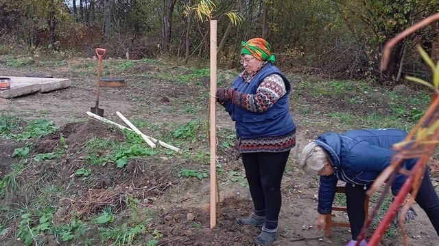 Замечательные новости ТОС "СОСЕДИ" д.Брякуново. Замечательные новости ТОС "СОСЕДИ" д.Брякуново.