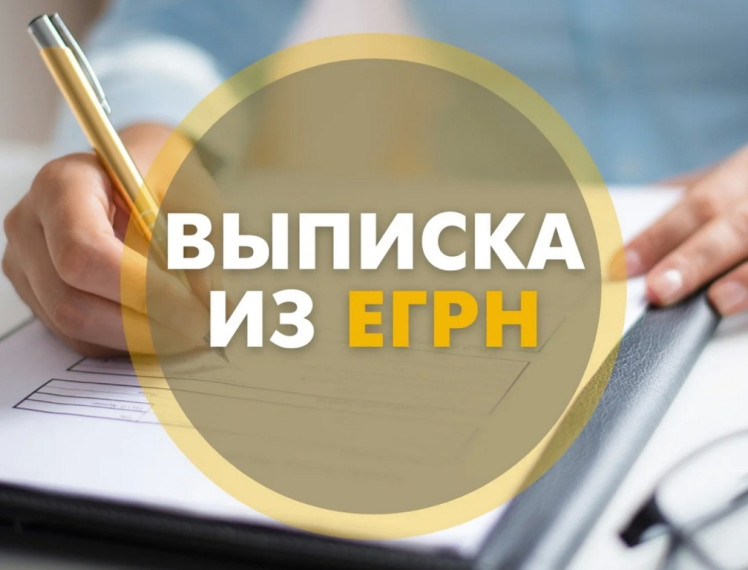 Роскадастр разъясняет: получать электронные выписки о недвижимости выгодно и удобно. Роскадастр разъясняет: получать электронные выписки о недвижимости выгодно и удобно.