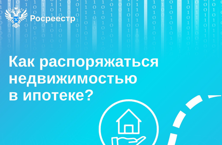 Как распоряжаться недвижимостью в ипотеке. Как распоряжаться недвижимостью в ипотеке.