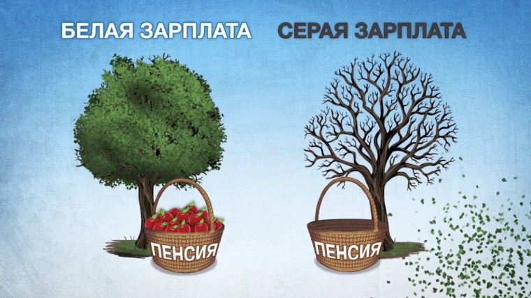 Белая и серая зарплата. Белая и серая зарплата.