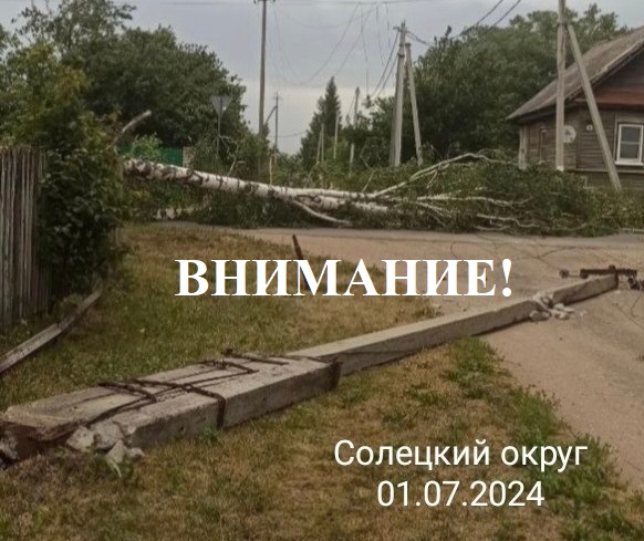 В Новгородскую область пришла непогода. В Новгородскую область пришла непогода.