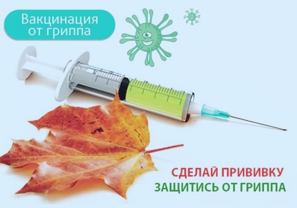 Профилактика гриппа. Профилактика гриппа.